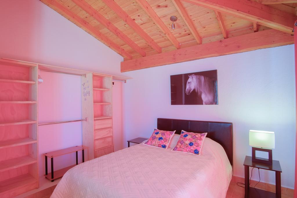 Little Nest En Rancho El Rossinyol Guest House Valle de Guadalupe Bagian luar foto